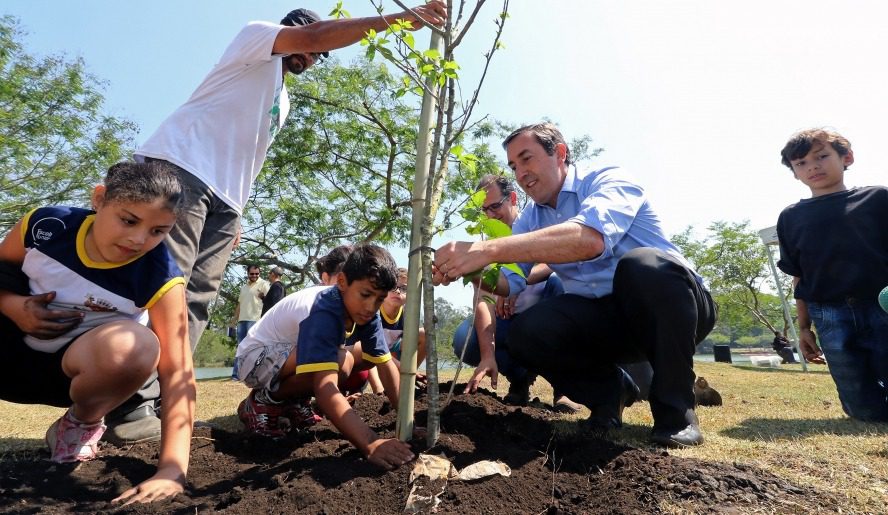 Plantio de árvores - Prefeitura de Mogi das Cruzes