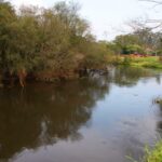 Rio Tietê