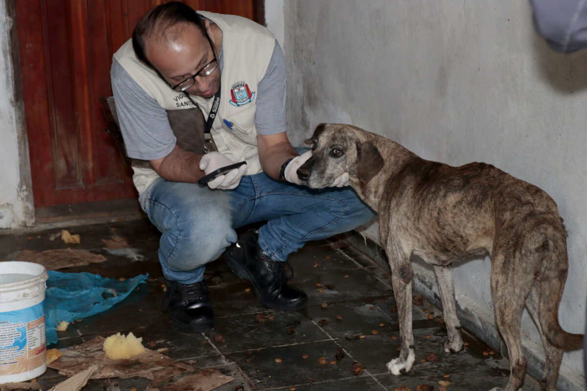 Resgate de animais sob maus-tratos em Suzano