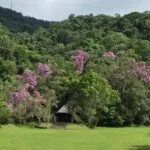 Parque Natural Municipal Mogi