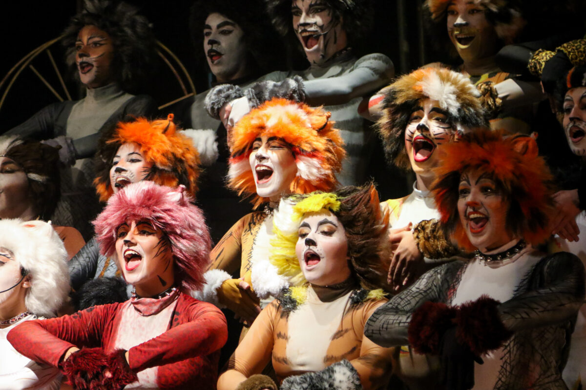 Cats O Musical