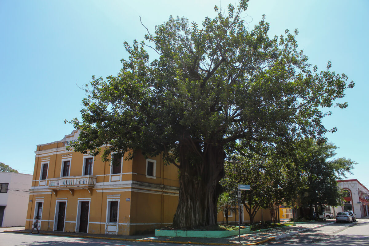 Theatro Vasques - Mogi das Cruzes - Centro