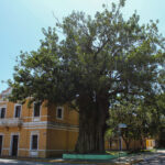 Theatro Vasques - Mogi das Cruzes - Centro