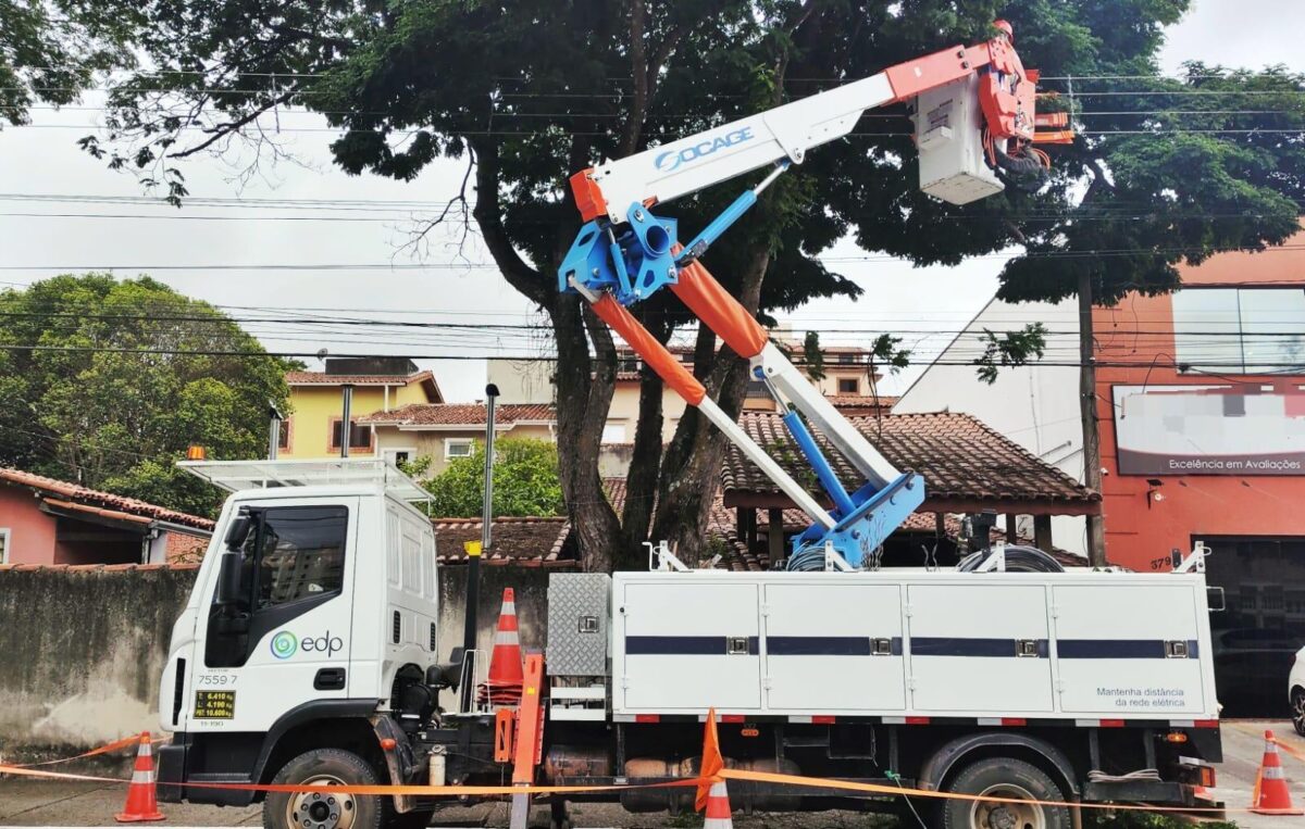 Trabalho de Poda EDP