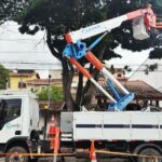 Trabalho de Poda EDP