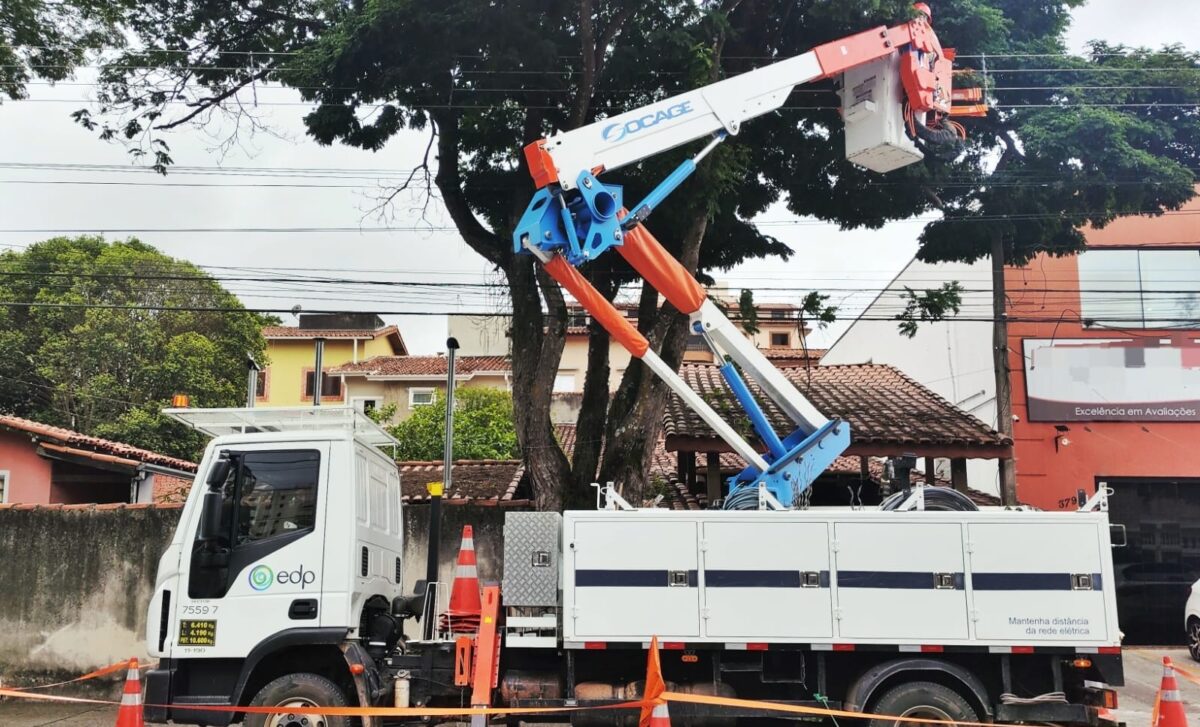 Poda de vegetação EDP