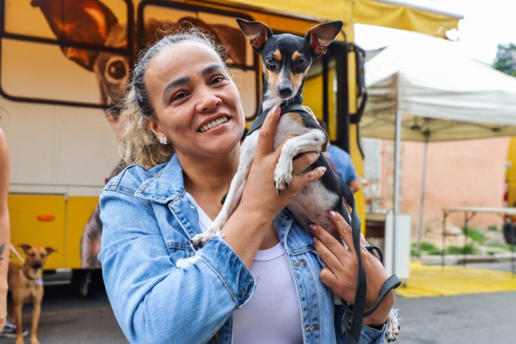 Castração Gratuita Ferraz