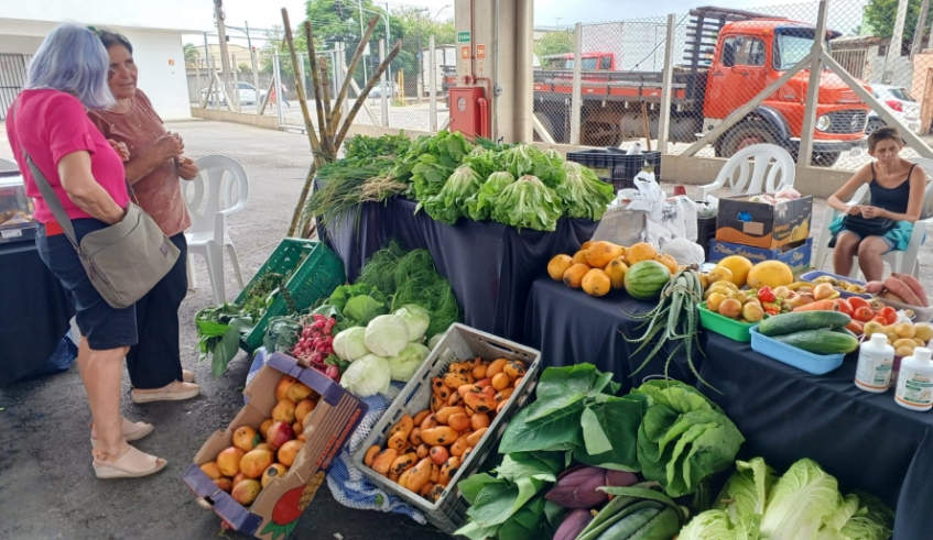 Feira de Economia Solidaria Mogi