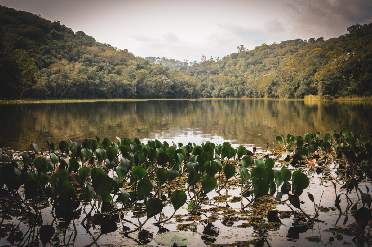 Rio Tietê