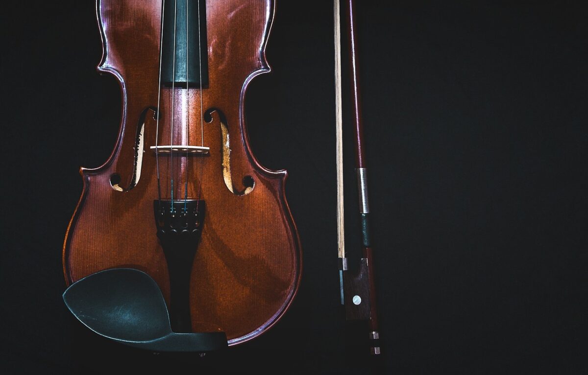 Violino