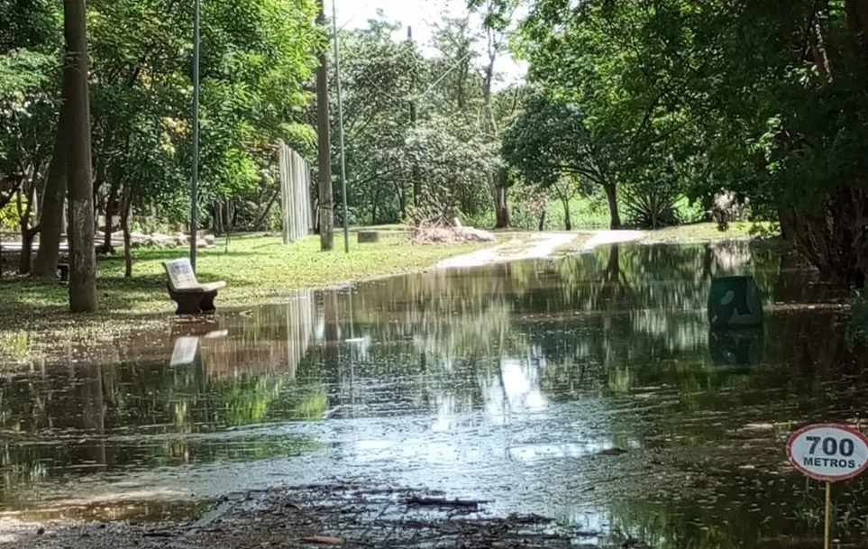 Parque Ecológico de itaquaquecetuba alagado