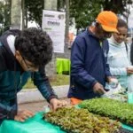 Semana do Meio Ambiente Itaqua