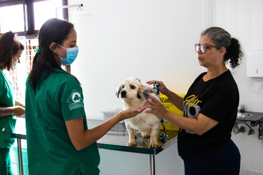 Clinica Veterinaria Ferraz