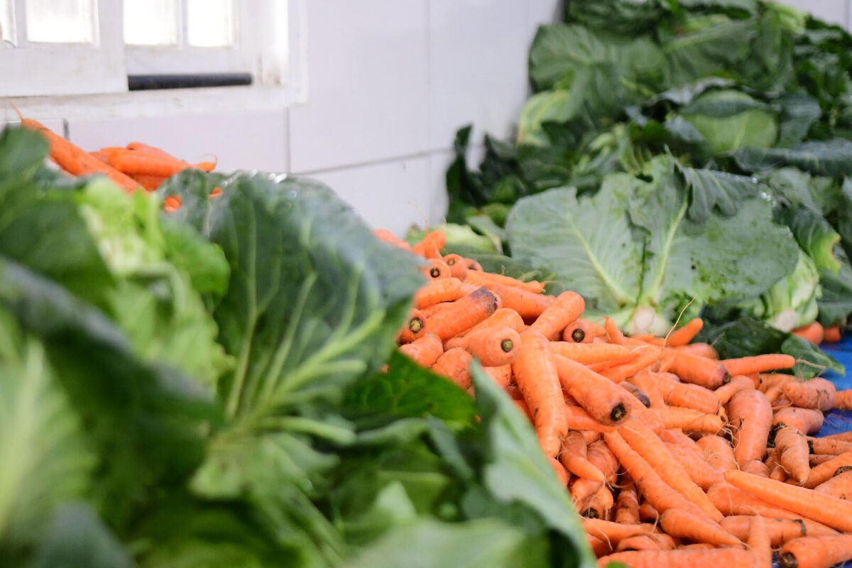 Cardapio Especial Restrição Alimentar