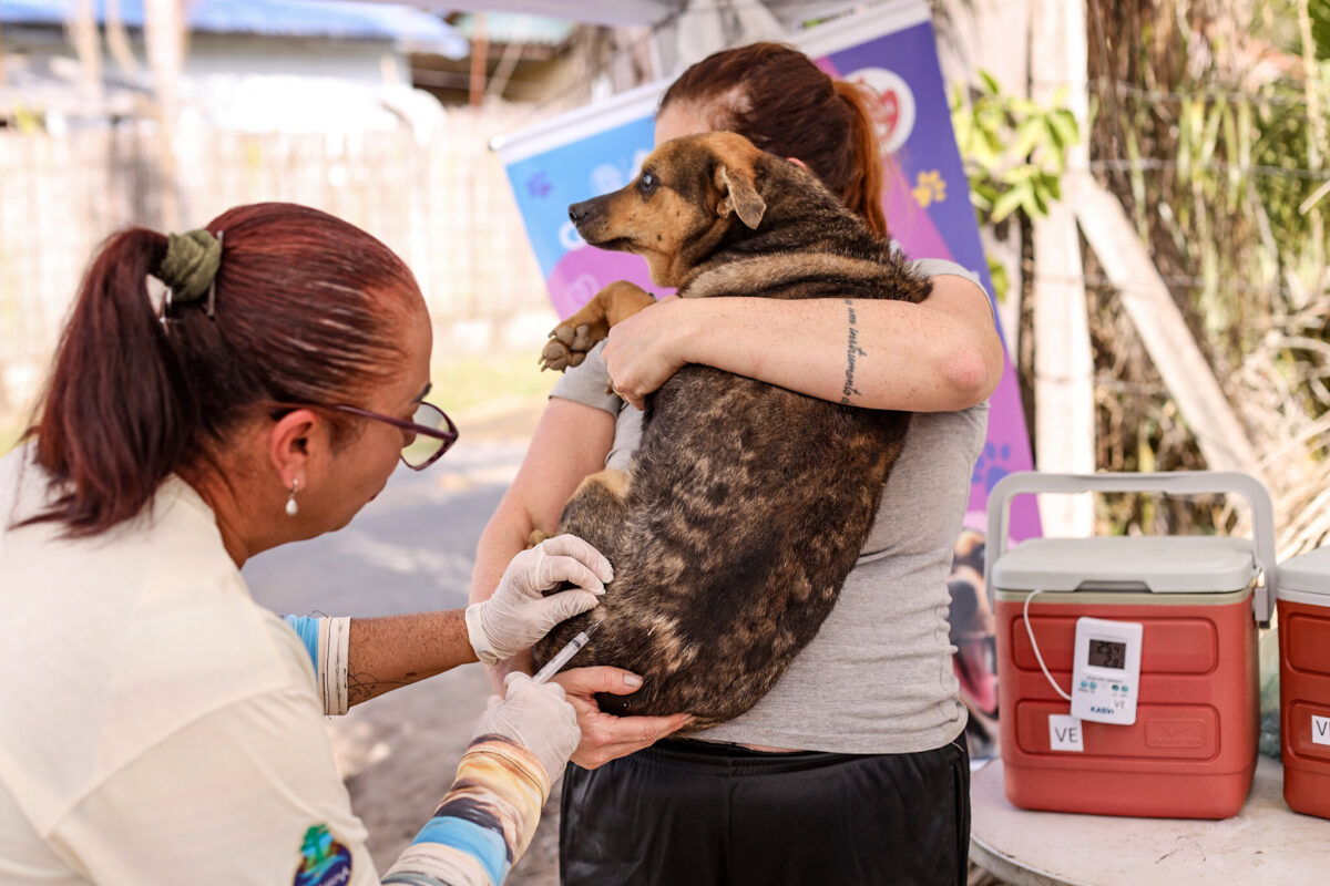Vacinação Antirrábica em Guararema - Crédito fotos Warley Kenji - Comunicação PMG (5)