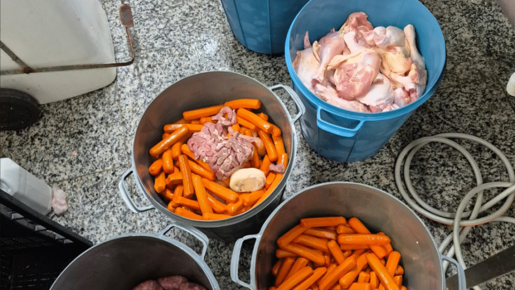 Descarte Procon Ferraz de Vasconcelos