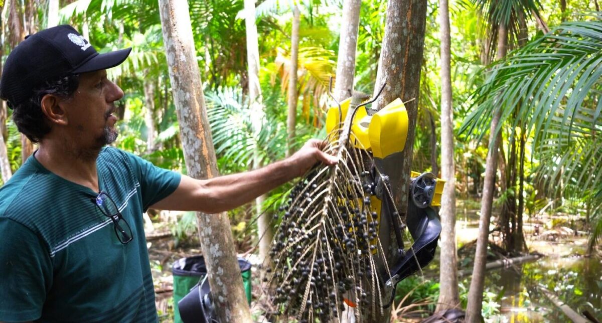 Dia de Campo Biritiba Mirim