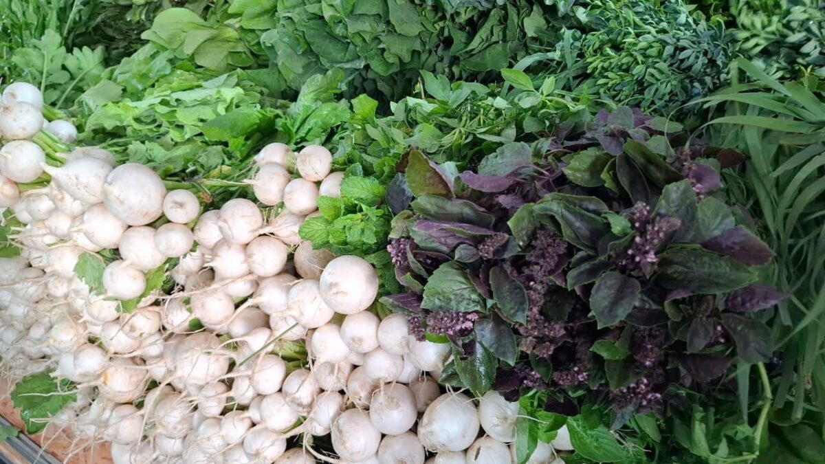 Agricultura Alto Tietê