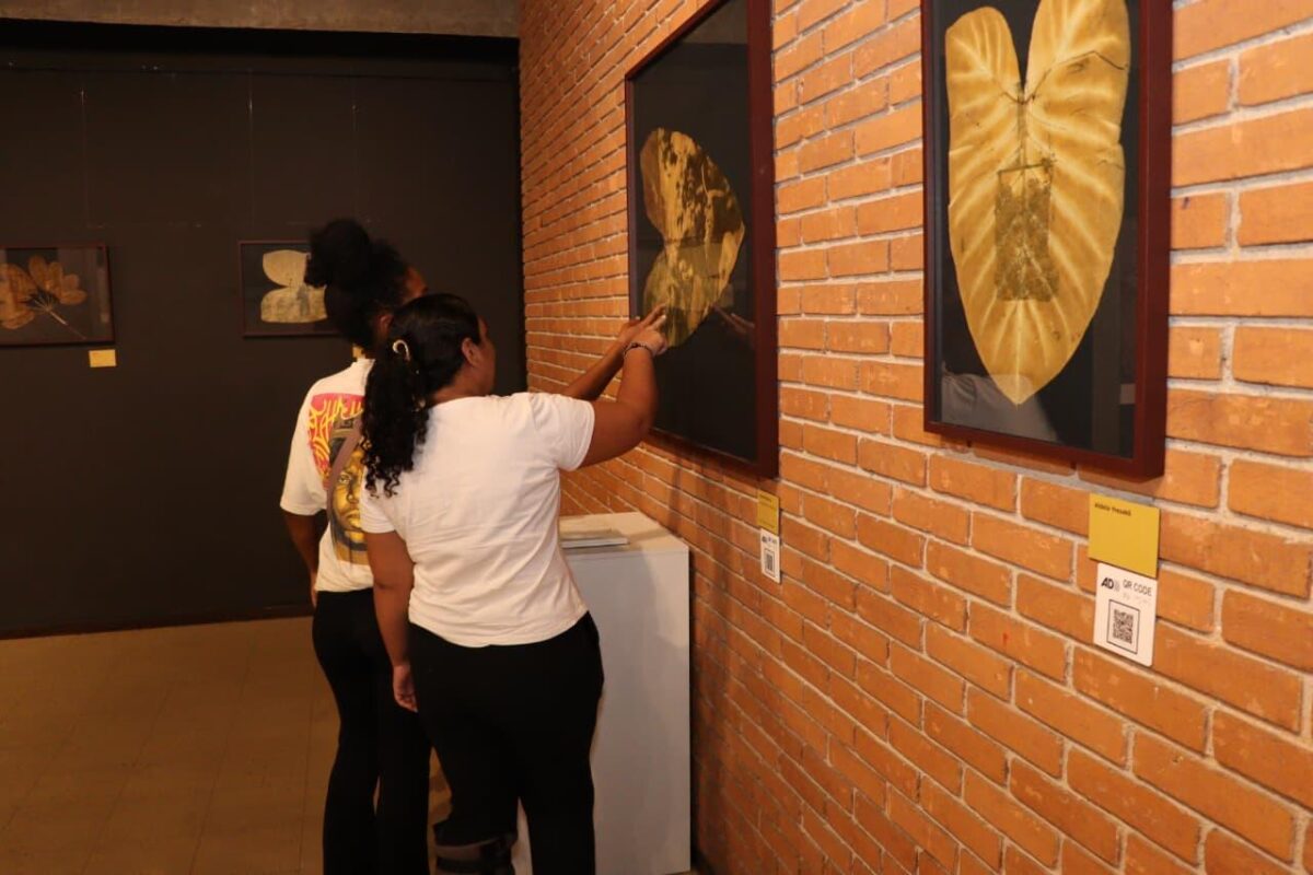 Exposição Centro Cultural Suzano