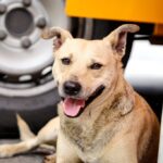 Mutirão Ferraz de Vasconcelos