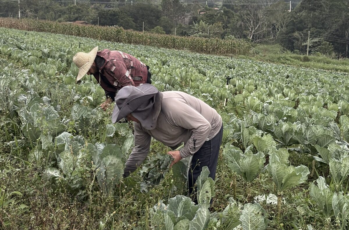 Agricultura