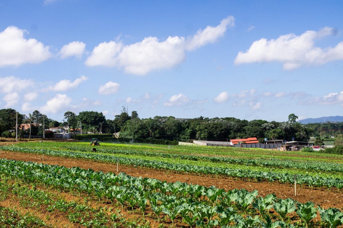 Agricultura