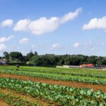 Agricultura