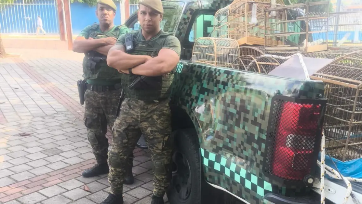 GCM Ambiental Poá