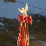 Festa do Divino Espírito Santo de Mogi das Cruzes