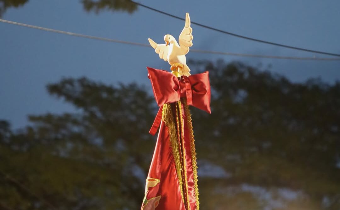 Festa do Divino Espírito Santo de Mogi das Cruzes