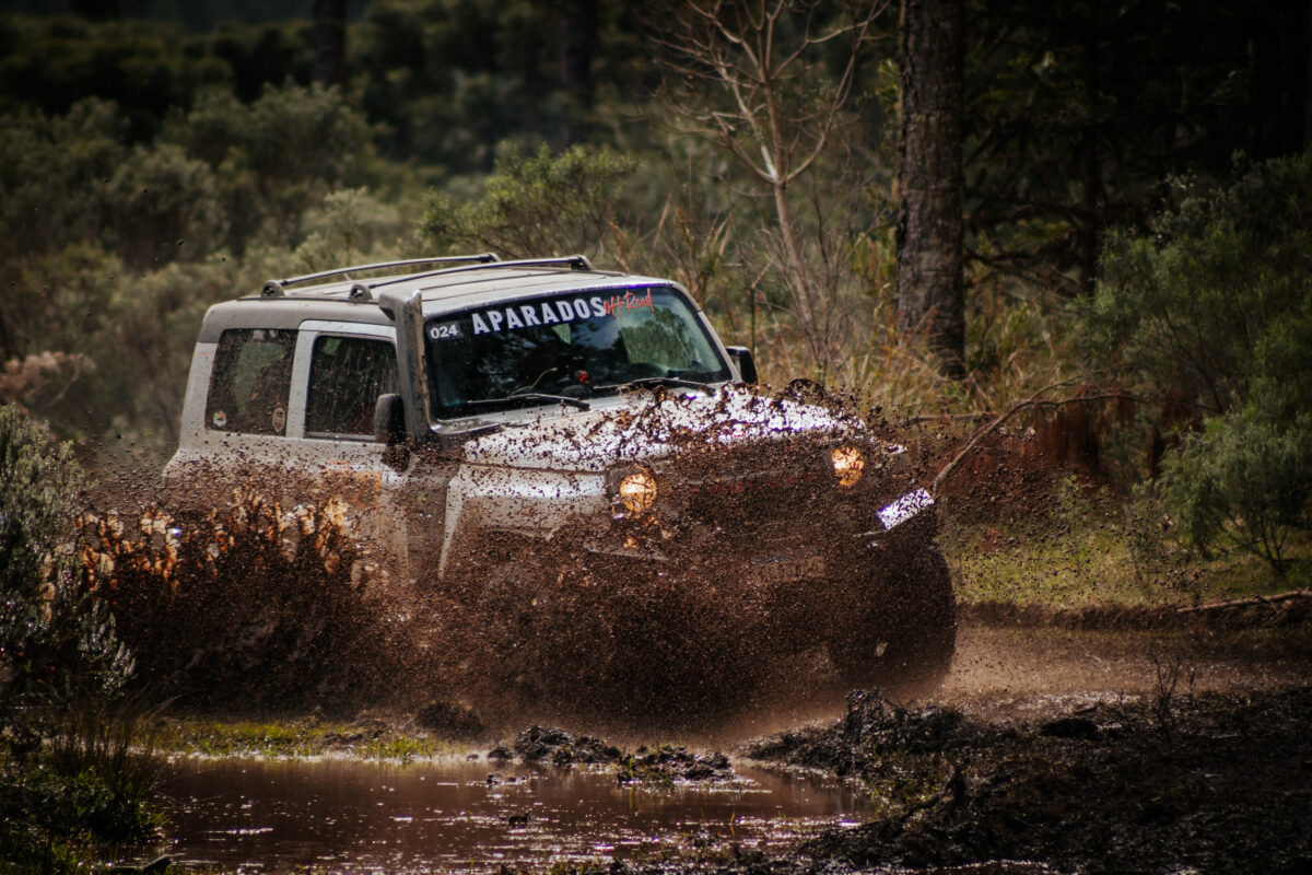 Rally