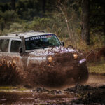 Rally