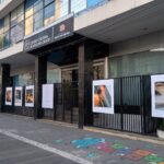 A Arte através da arte